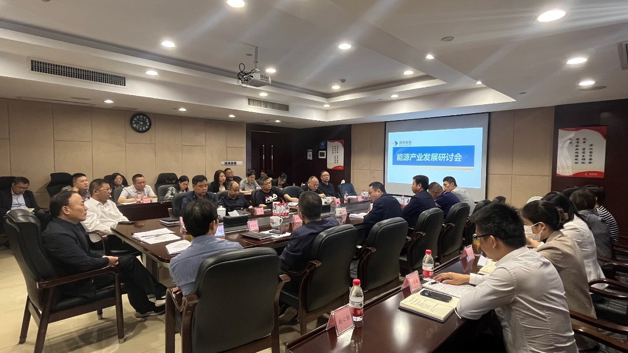 完美平台-完美（中国）一站式服务平台召开能源产业发展研讨会